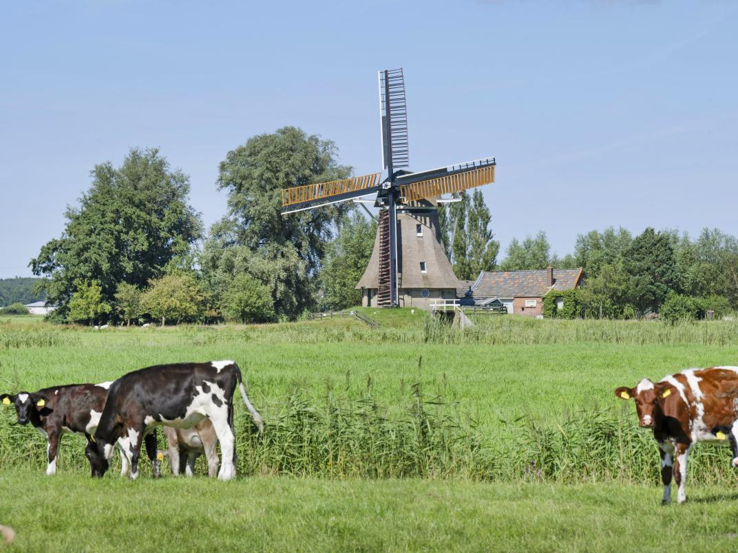 Molen Broeksterwald