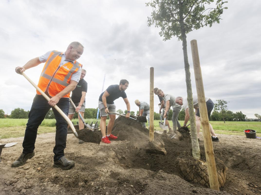 startsein woningbouw Rinsumageast